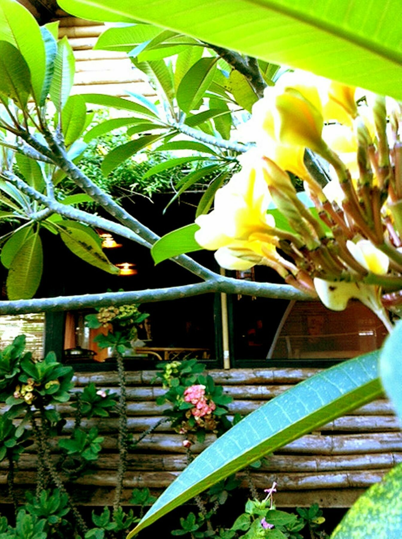 The Village House Puerto Princesa Luaran gambar
