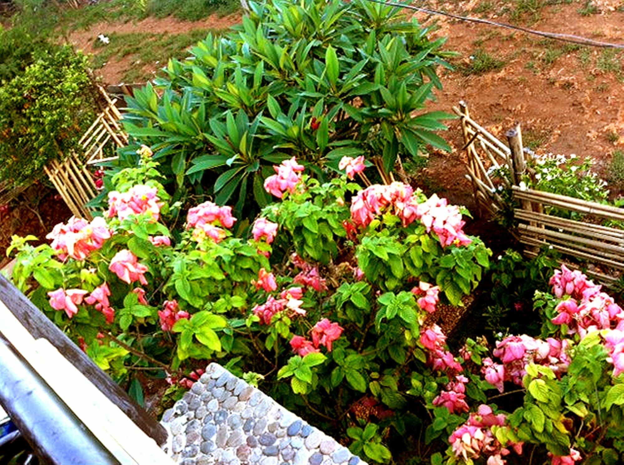 The Village House Puerto Princesa Luaran gambar